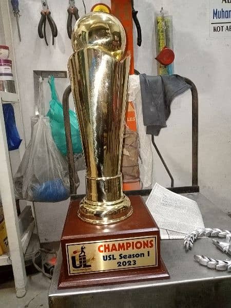brass cricket trophy 1