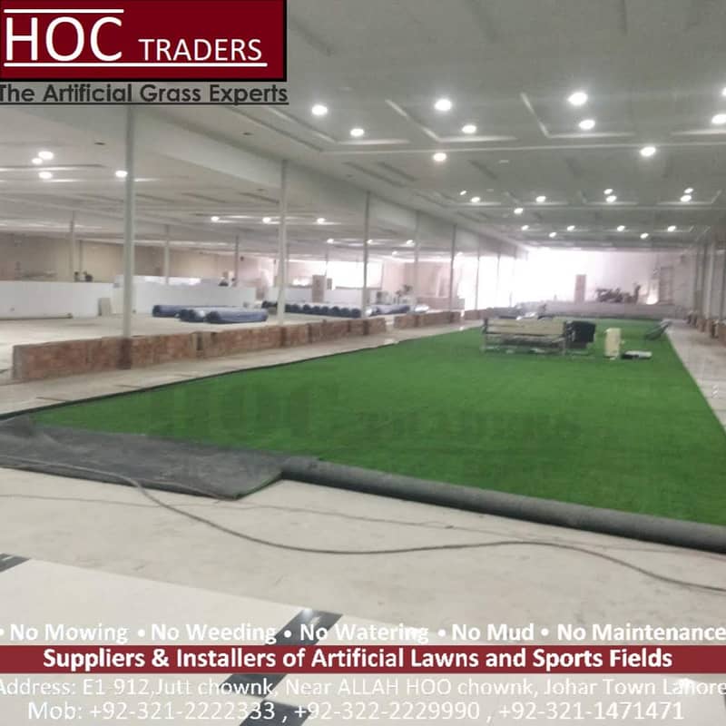 Artifical Grass / Astro truf / Grass Carpet / Field Garss /Roof Grass 9