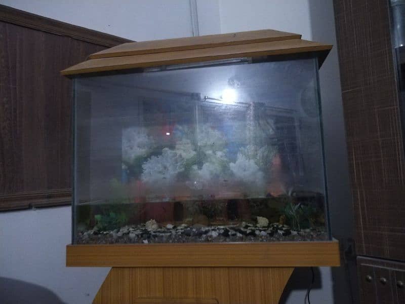 Aquarium for sale 2f 2