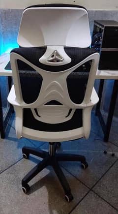 imported chair