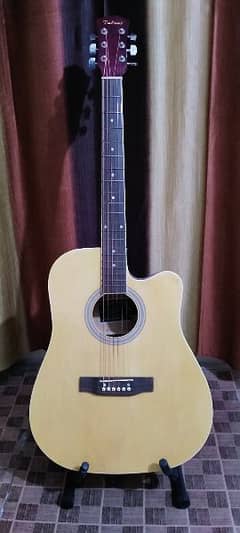 Semi Acoustic Jumbo Size Guitar 0