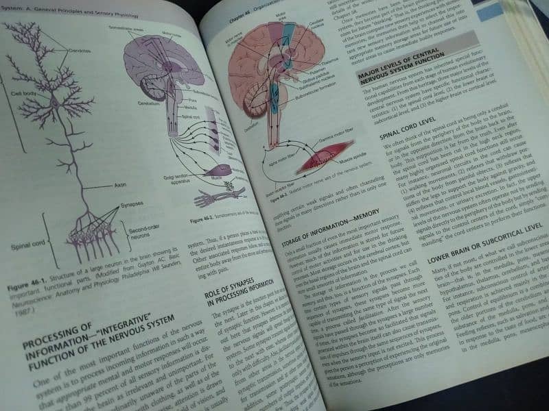 Gyton and hall. . . Medical physiology book. 14th edition 1