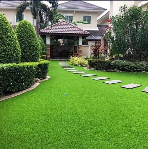 Artificial Grass 1