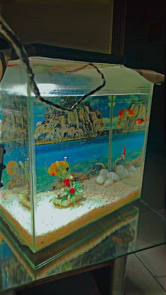 fish tank/aquarium for sale in gujranwala . Very reasonable price 2