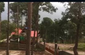 Murree garden