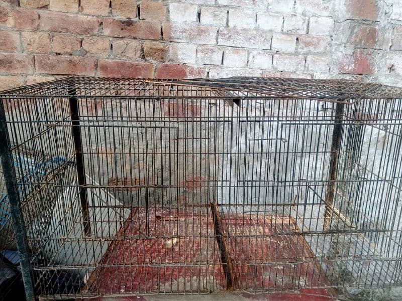 3 cage available 0