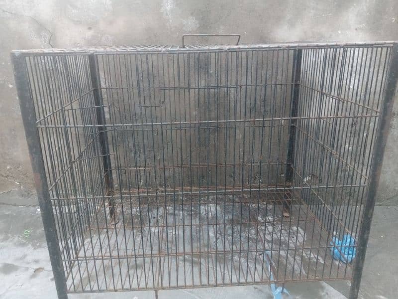 3 cage available 1