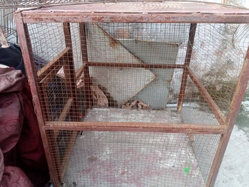 3 cage available 2