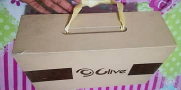 Clive Shoes for women / girls like New