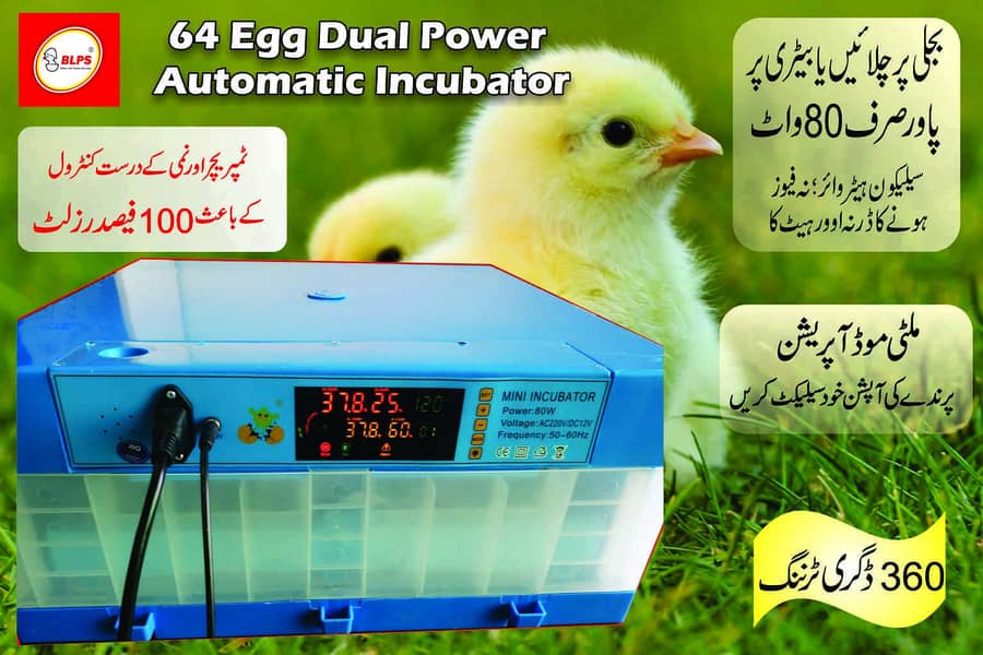 Fully Automatic Egg Incubator 300 eggs Steel Body 9