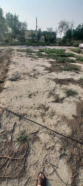 shahkot residential plot available for sale in low price. 3