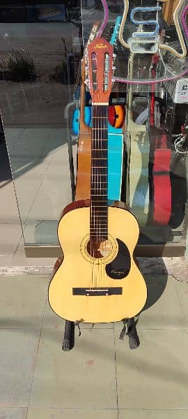 Beginner Acoustic Guitar 6