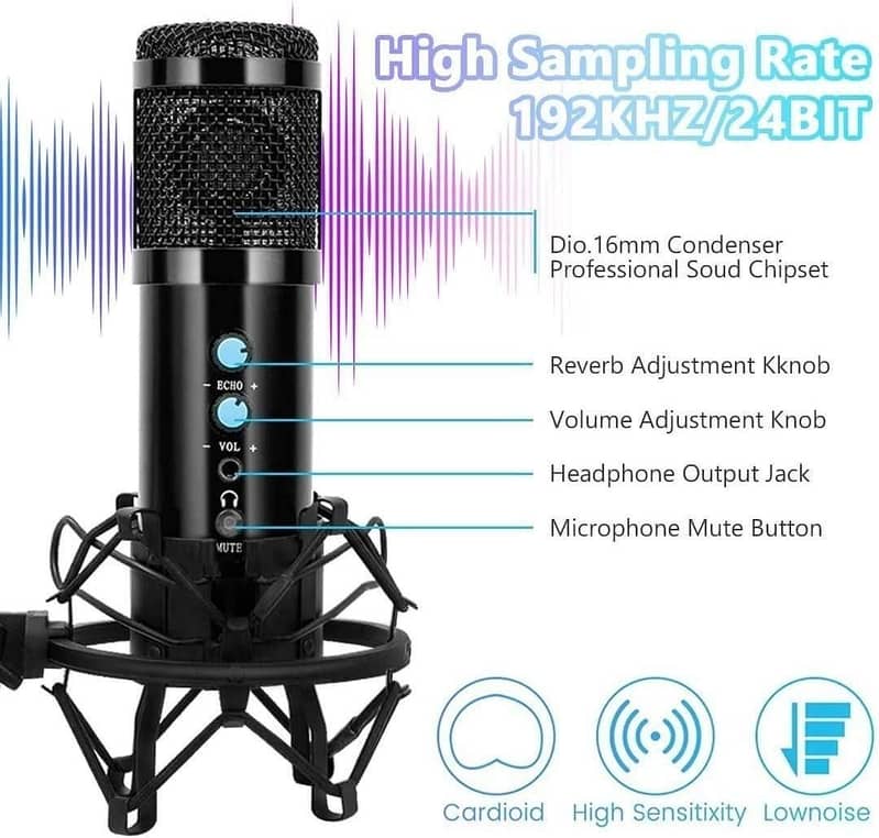 Professional Studio USB Condenser Microphone 0