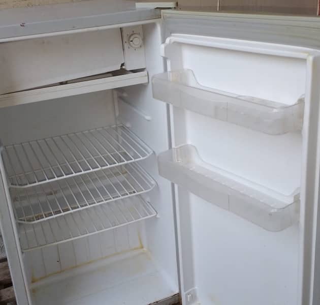 Single fridge 1