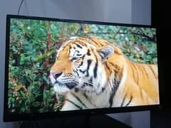 LG 23 Inch Borderless IPS LED HD for Sale