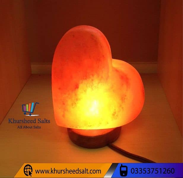 Himalayan Pink Rock Salt Lamp corporate gift 4