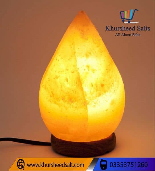 Himalayan Pink Rock Salt Lamp corporate gift 5