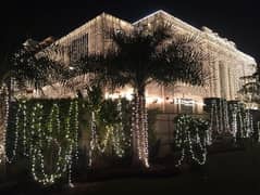 wedding home decor/fairy lights/wedding lights /light decoration