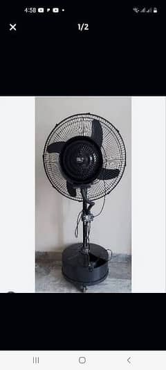 pakfan