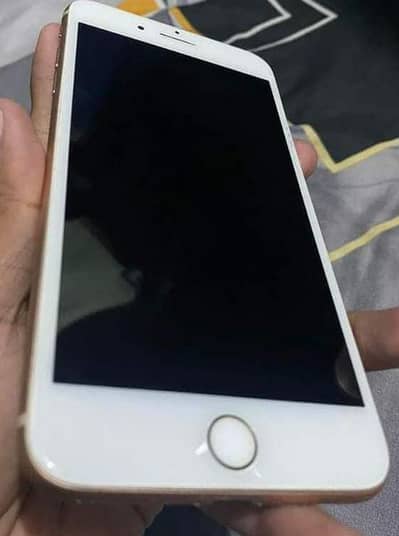 iphone 8 plus 256gb olx