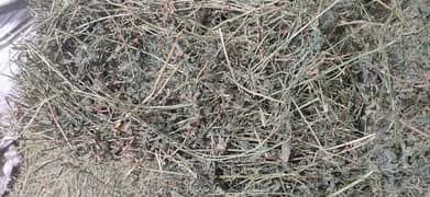 4100 maan 40kg loosan Alfalfa hay for goat's rabbits and other animals