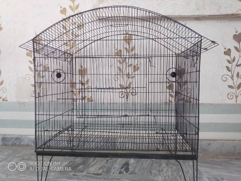 Cage For Sale! 3