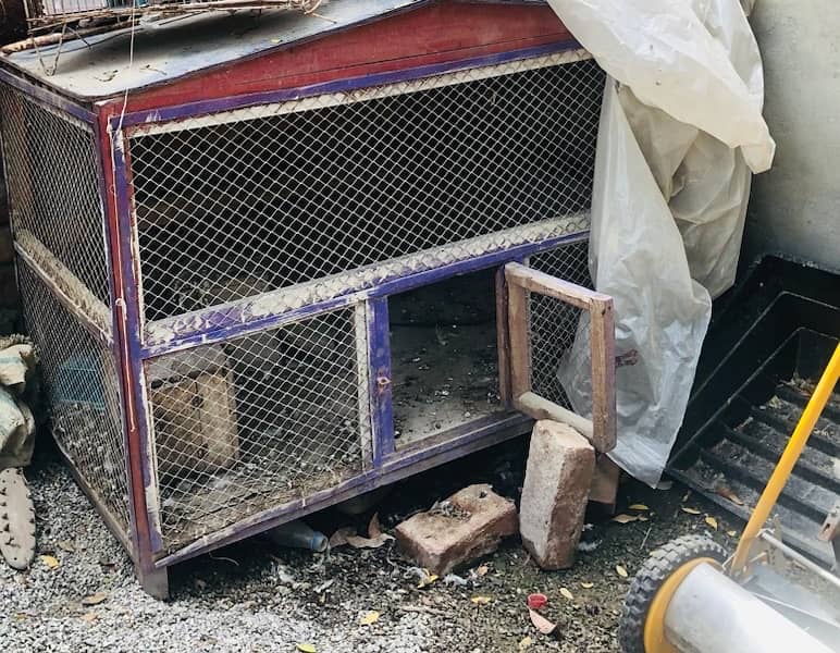 pure hand made lasani birds cage for sale 0