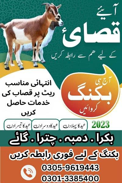 Professional Qasai Bakra, Qasai,Qurbani 0/3/05/9/6/1/9/4/4/3