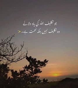 Rashid Shah