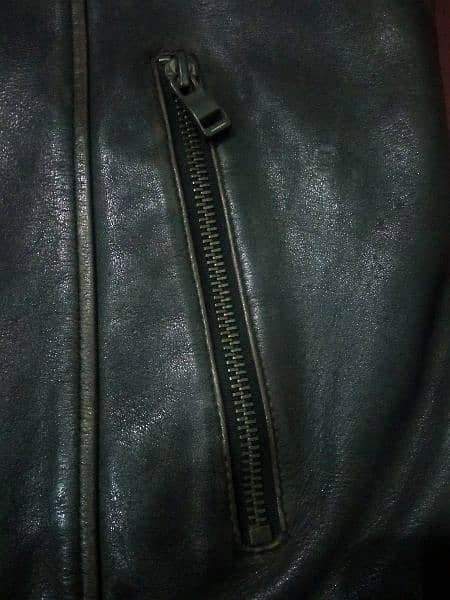 Original Cow Leather Jacket 2