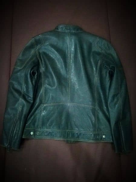 Original Cow Leather Jacket 5