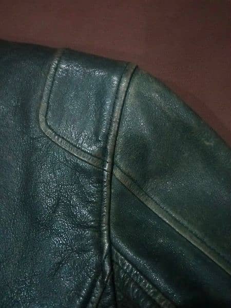 Original Cow Leather Jacket 8