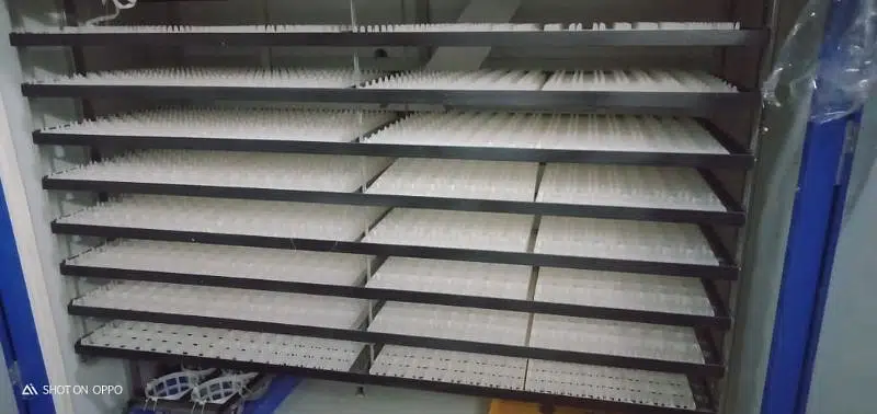 1000, 2000, 3000, 5000 Eggs incubators available — photo 9