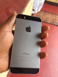 olx iphone 5