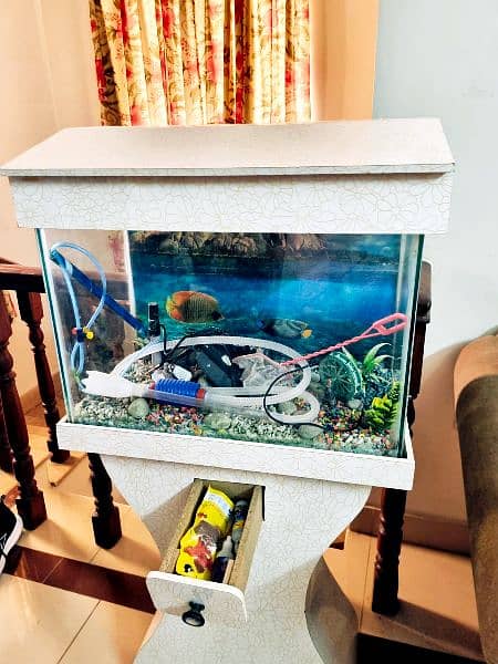 Fish Aquarium with all accessories 4