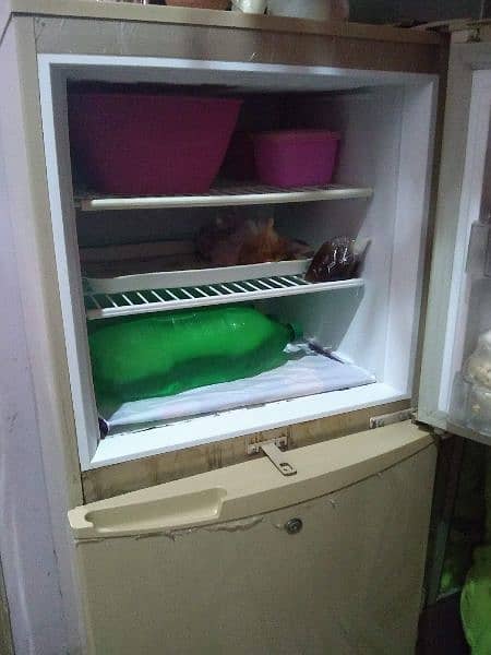 Refrigerator PEL fridge medium size fridge 3