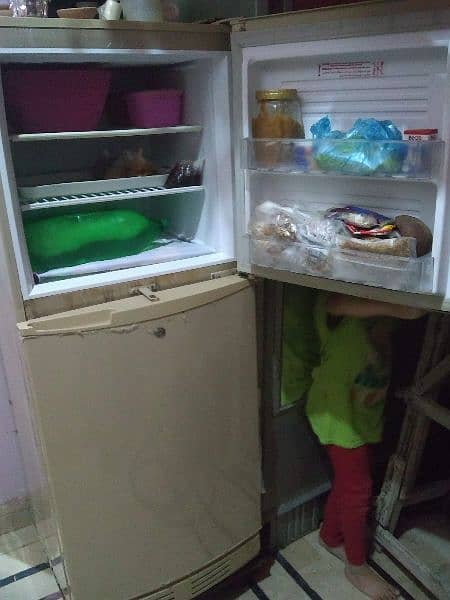 Refrigerator PEL fridge medium size fridge 4