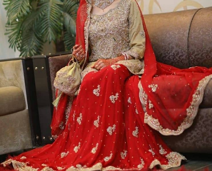 Wedding Dress/Barat Lehenga 0