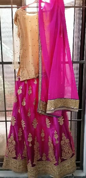 Designer Lehenga Choli Sets for Parties - Handcrafted Fashion – Tagged 