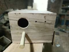 lovebird breeding box