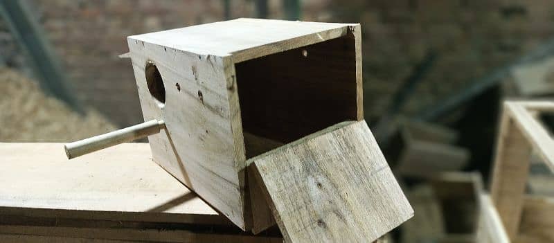 lovebird breeding box 2