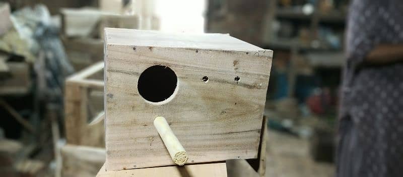 lovebird breeding box 4