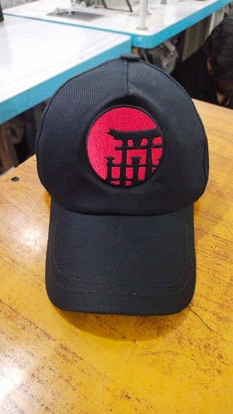 Simple cap logo wali cap printing wali cap minimum oder 100 pec 6