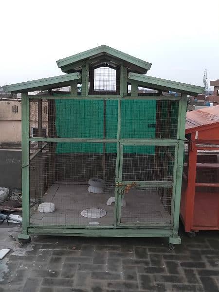 wooden cages for birds/hens 5×5×5 4