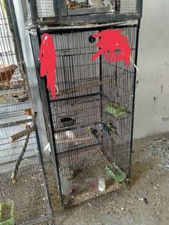 heavy cage available