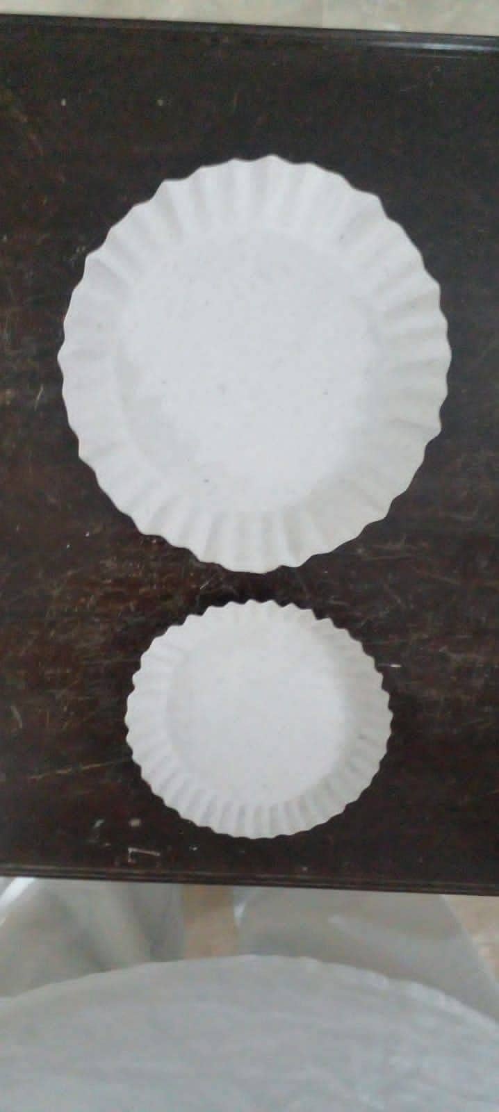 Disposable Paper Plates for sale 3