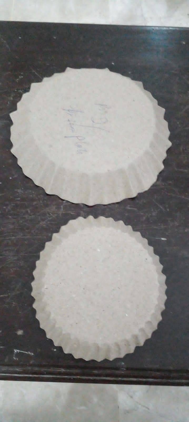 Disposable Paper Plates for sale 5