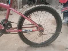 cycle