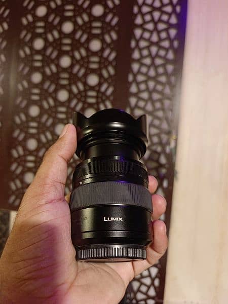 Panasonic LUMIX G X VARIO LENS, 12-35MM, F2.8 ASPH. 9