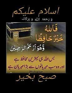 zahid mehmood